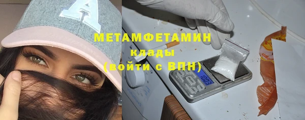 гидра Няндома