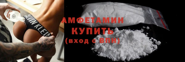 гидра Няндома