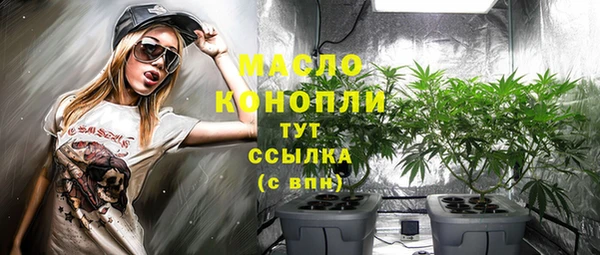 гидра Няндома