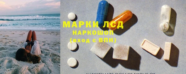 гидра Няндома